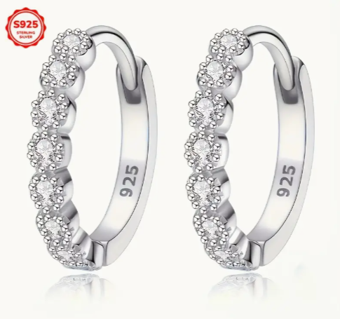 Silvery Delicate Hoop Luxary Earrings